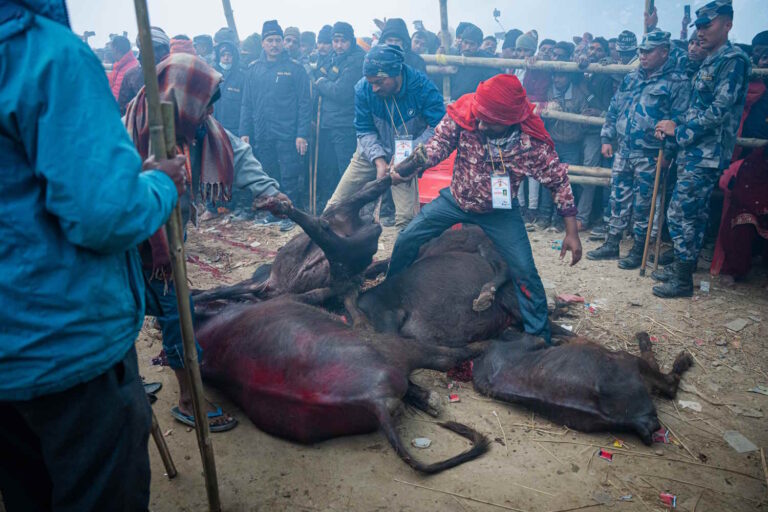 Gadhimai Nepal