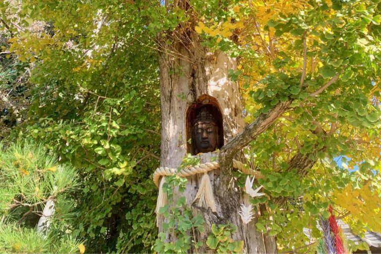 Albero_bomba_atomica