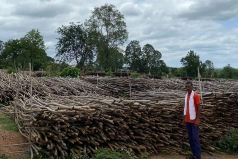 Dit kleine dorp heeft de armoede verslagen door bamboe te verbouwen en behoort nu tot de meest welvarende van India						



