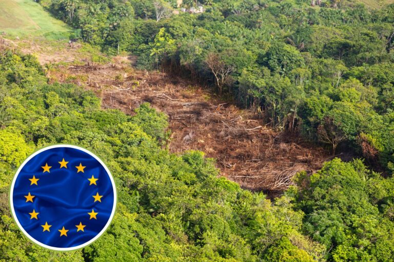 Mercosur-EU, er is een akkoord: offert de Europese Commissie het milieu (en de Green Deal) op op het altaar van de winst?						


