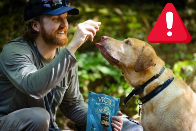 Salmonella in dierenvoeding: dit merk veroorzaakte een epidemie waarbij ook 6 kinderen in de VS betrokken waren						


