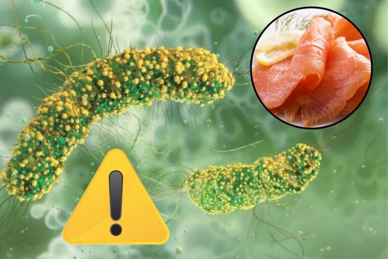 Voedselwaarschuwingen nemen toe in de EU: voor listeriagevallen is dit de hoogste piek sinds 2007 (ook door zalm)						


