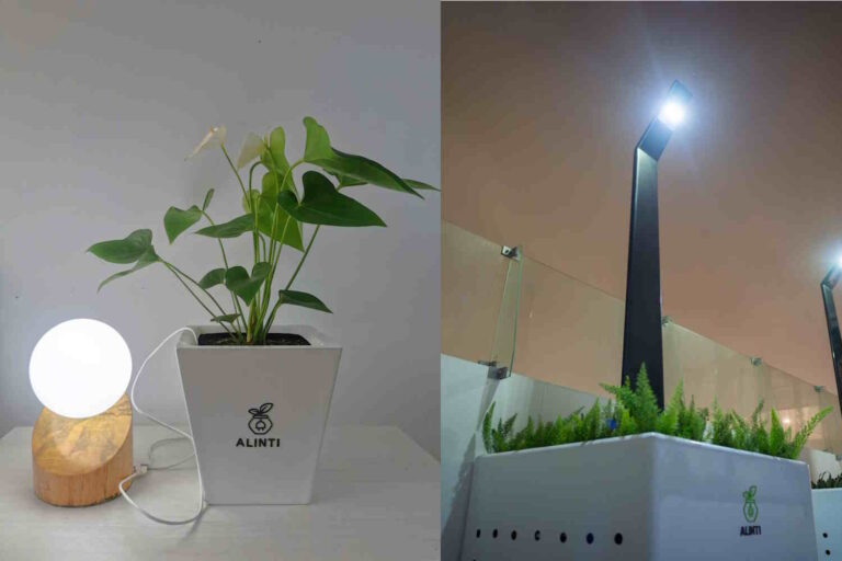 Energie van planten? De buitengewone uitvinding van deze Peruaanse ingenieur om elektriciteit te verkrijgen door fotosynthese						



