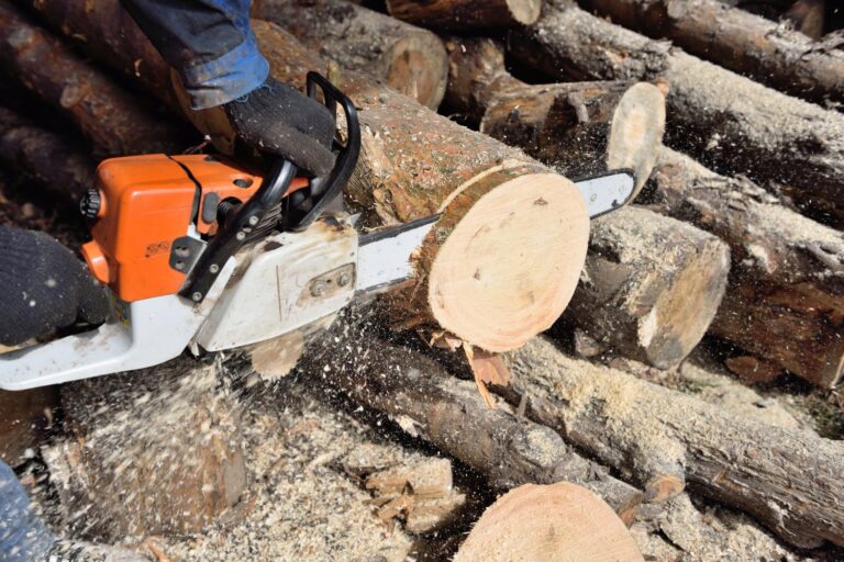 coltivare legno mit