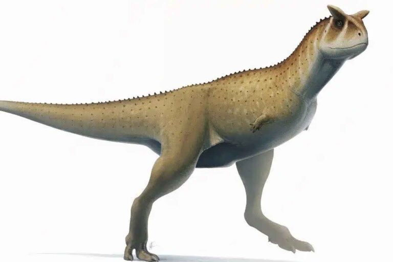 dinosauro senza braccia