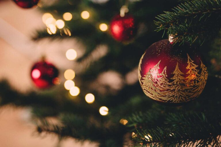 Kun je echt ‘de resten’ van de kerstboom eten? Het recept dat je niet verwacht (met dennennaalden)						


