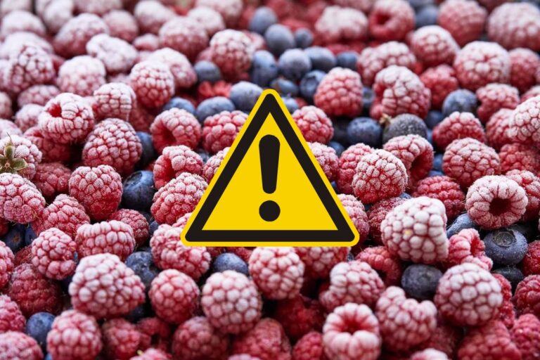 Voedselvergiftiging: WHO en FAO publiceren het eerste rapport waarin door voedsel overgedragen virussen worden geclassificeerd						


