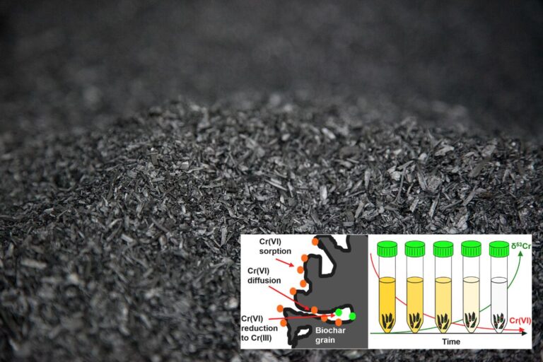Biochar_cromo