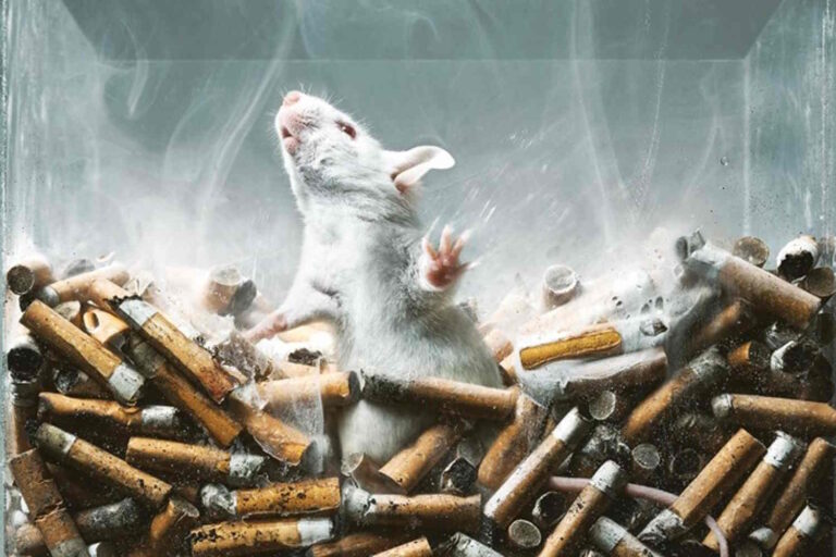 test animali fumo e sostanze