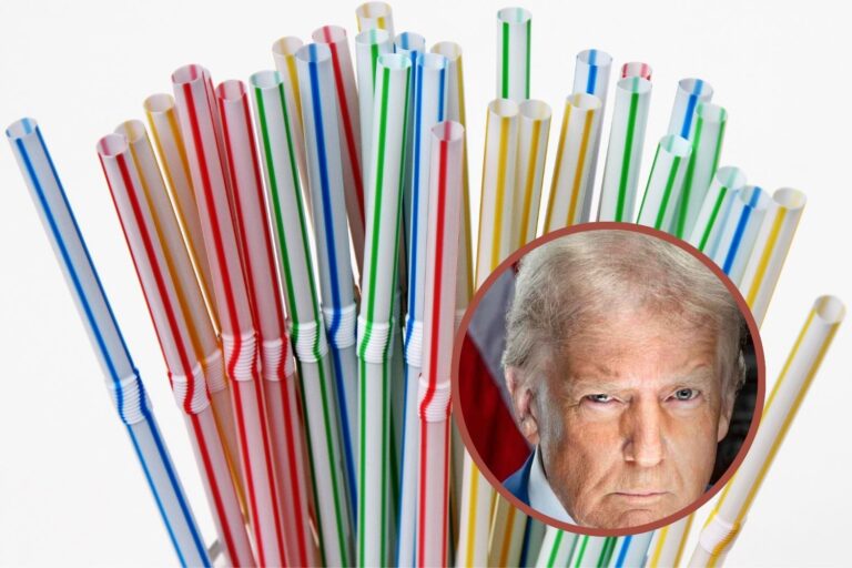 cannucce ordine trump