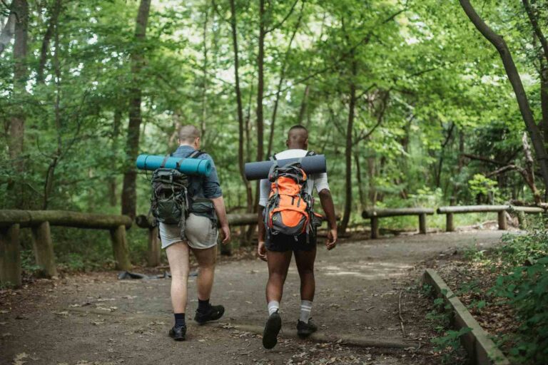 Passeggiare tra gli alberi