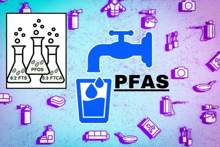 Ontdekte bacterie "Mangia" PFAS: Zal ​​het keerpunt in de strijd tegen eeuwige verontreinigende stoffen?						


