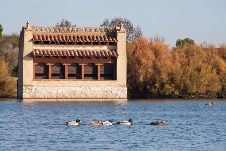 Acqua laguna