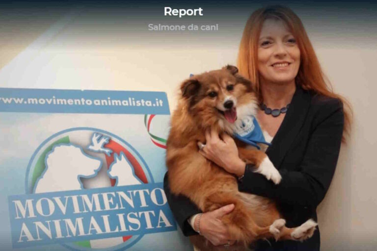 brambilla michela