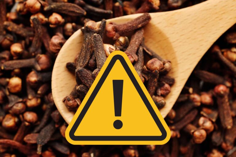 chiodi di garofano allerta