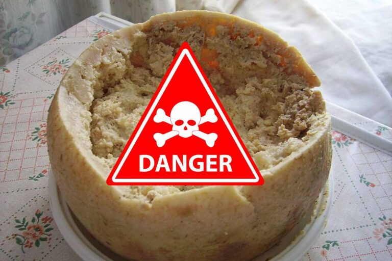 Dit zijn de gevaarlijkste traditionele voedingsmiddelen ter wereld (en op de lijst is er ook een Italiaans product)						


