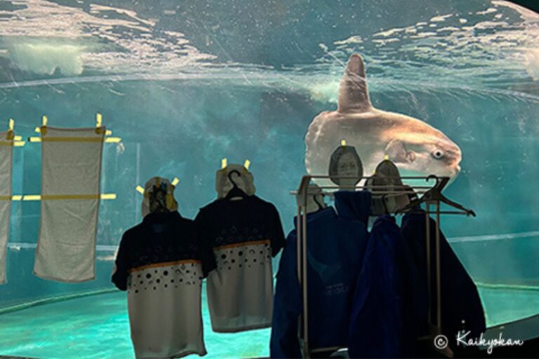 Gesloten vanwege renovatie, heeft dit Japanse aquarium verbonden om deze eenzame vis te helpen						


