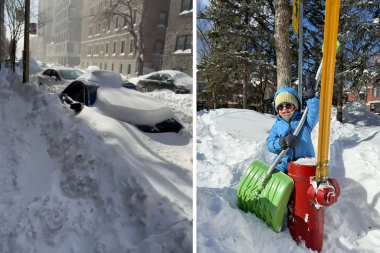 neve montreal