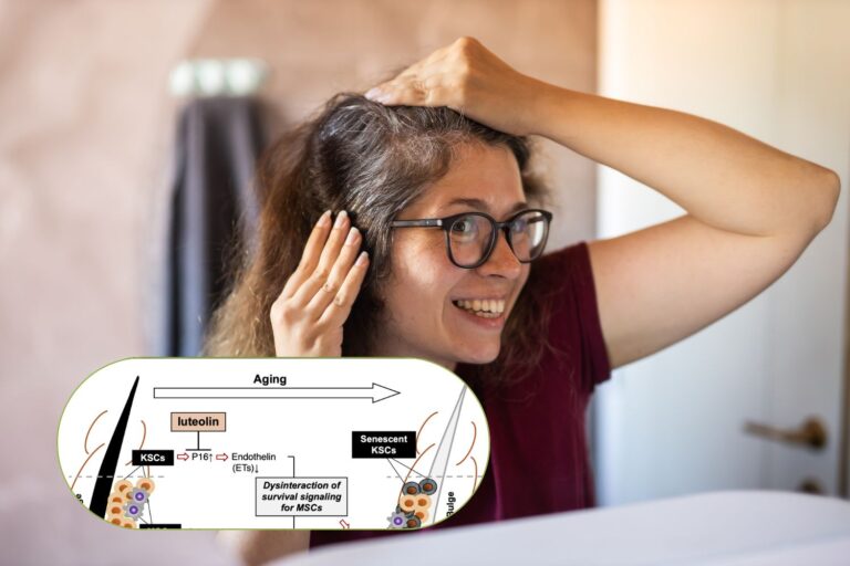 capelli grigi antiossidanti