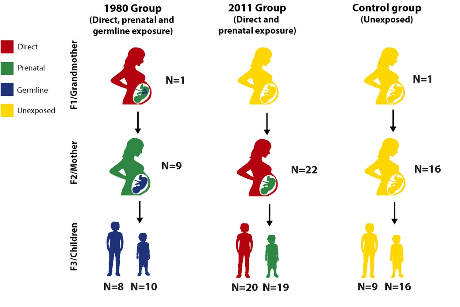 Geweld DNA -transmissiesignalen