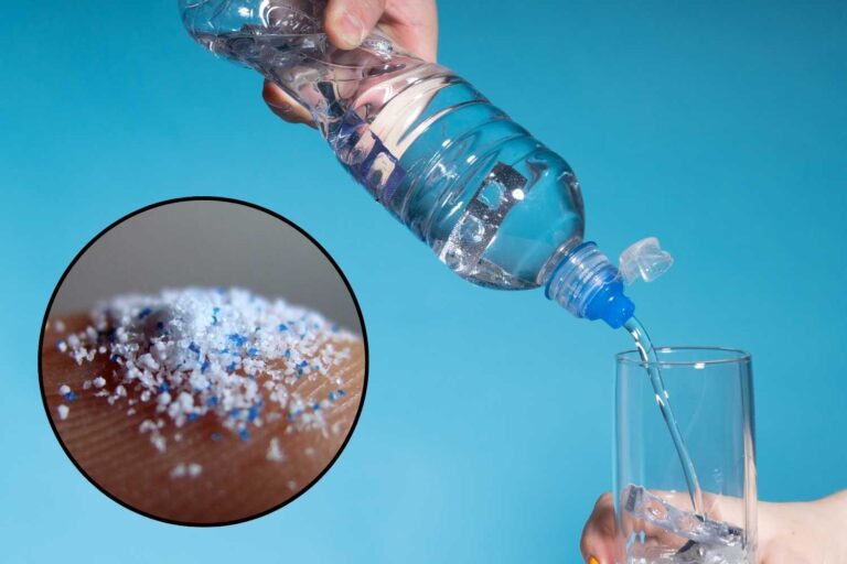 microplastiche acqua in bottiglia