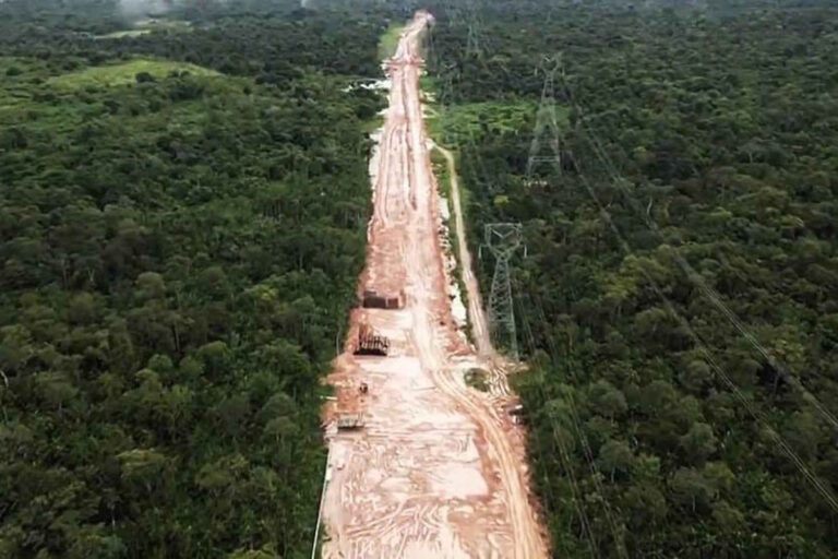 autostrada amazzonia cop30