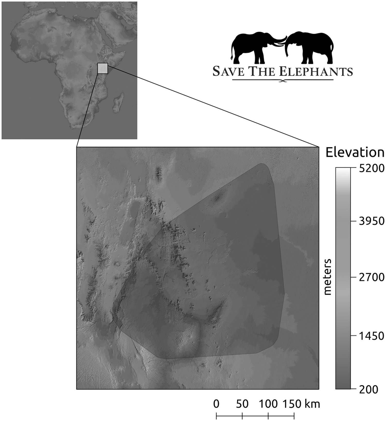 Olifanten reizen energiebesparing