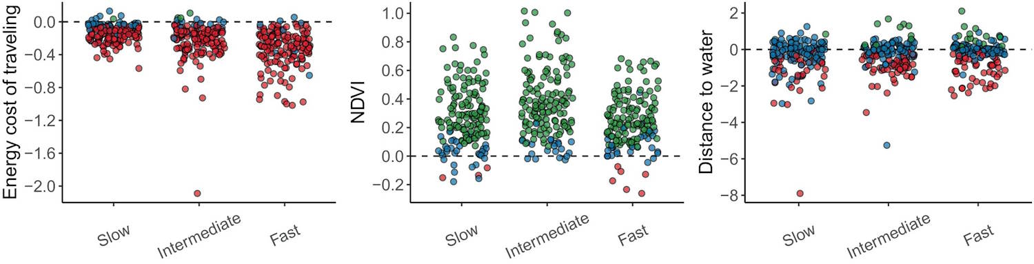 Olifanten reizen energiebesparing