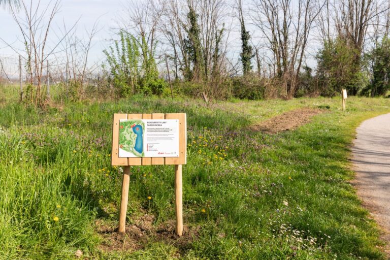 Biodiversity_Lab_Brugherio