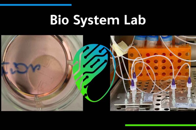 Pelle biostampata Bio System Lab
