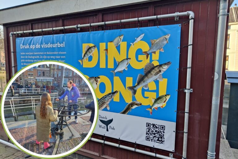 Campanello_pesci_Olanda