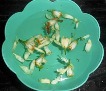 water-van-fiori-van-oranje