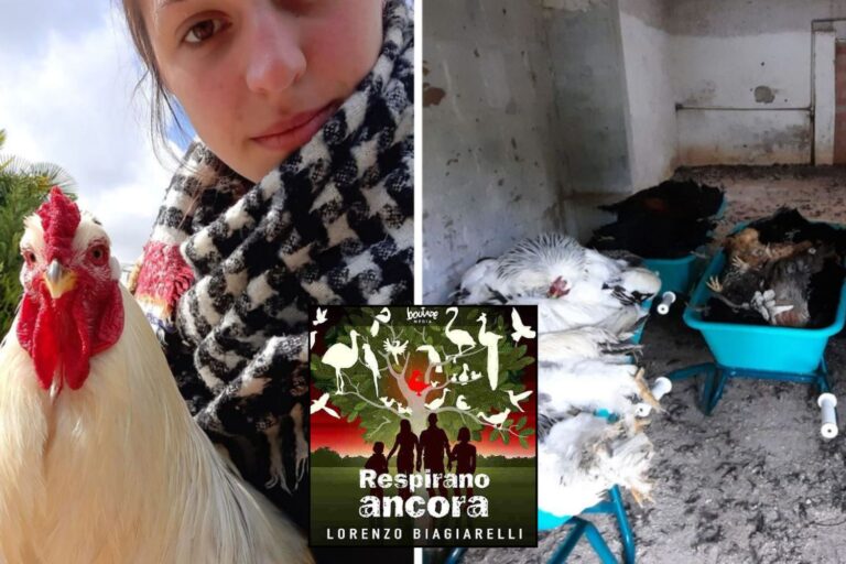 podcast allevamento fenati