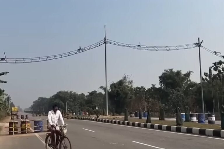 Ponti sospesi primati