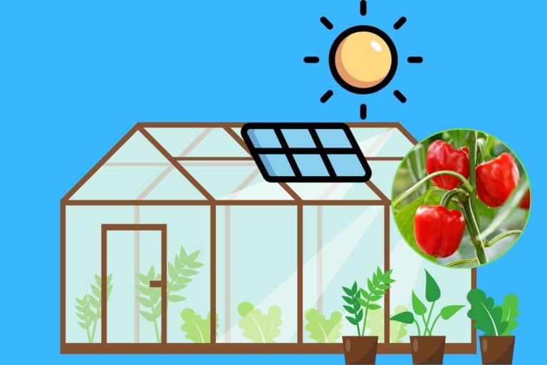 Agrivoltaic: de fotovoltaïsche kas arriveert die energie produceert en laat paprika's goed groeien						


