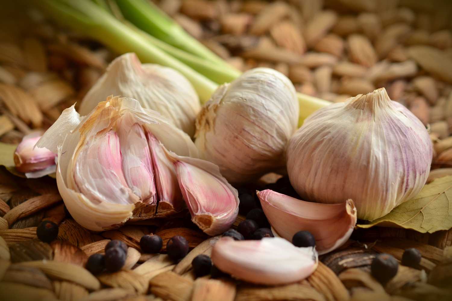 knoflook