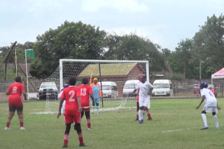 Copa Mundial de Abuelas