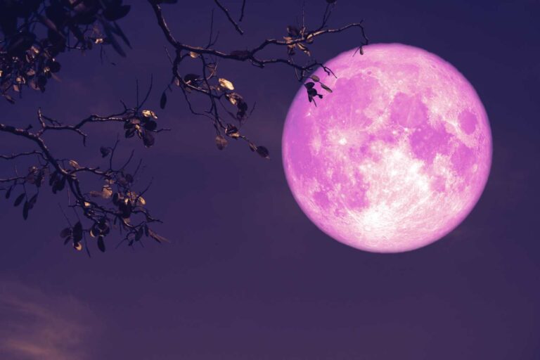 luna rosa