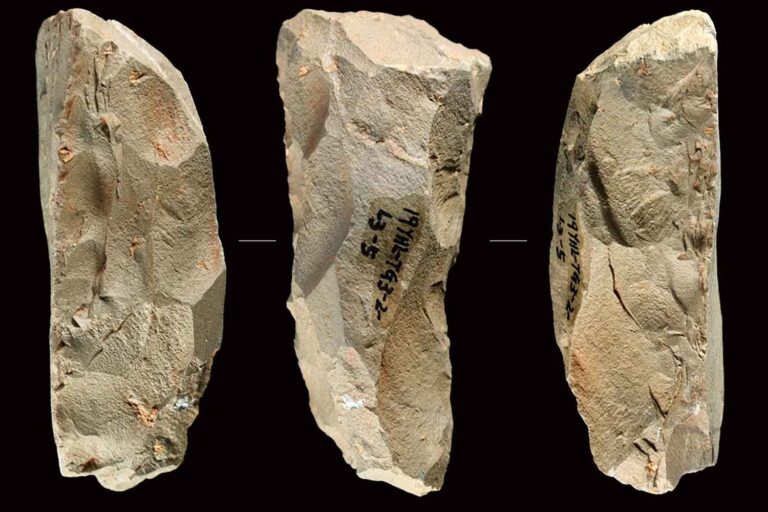 Strumenti in stile Neanderthal trovati in Cina