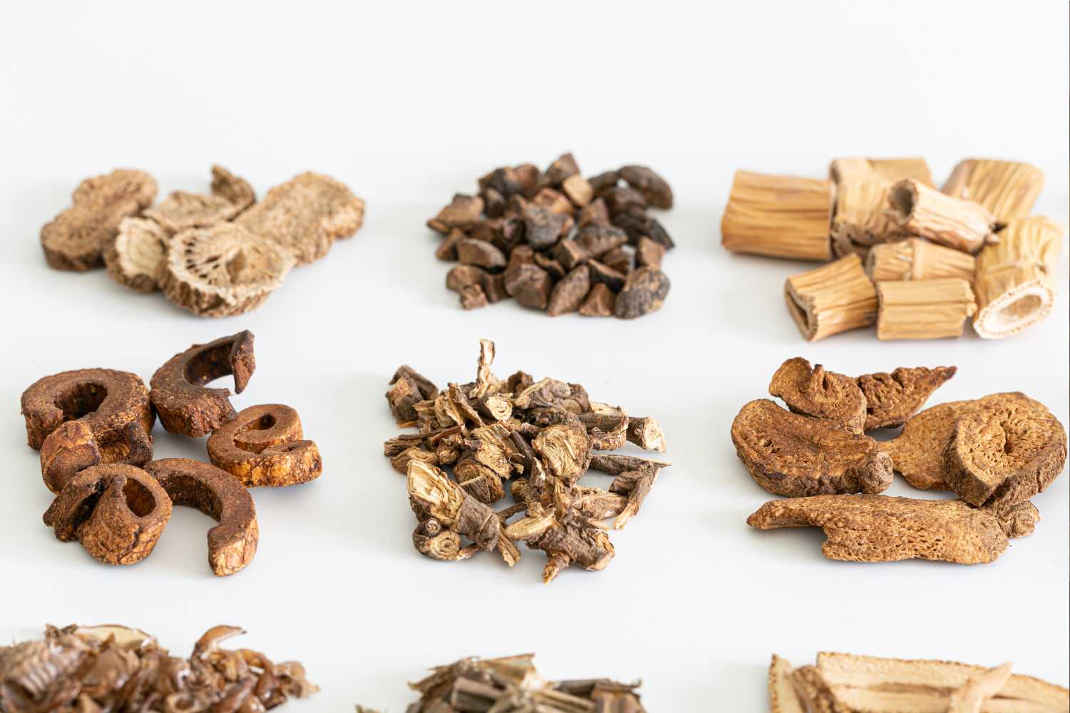 medicinale paddenstoelen