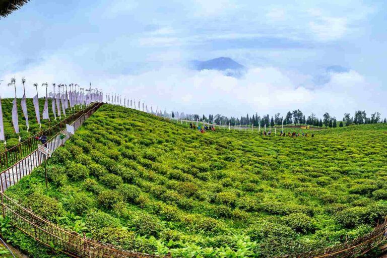 Sikkim stato biologico