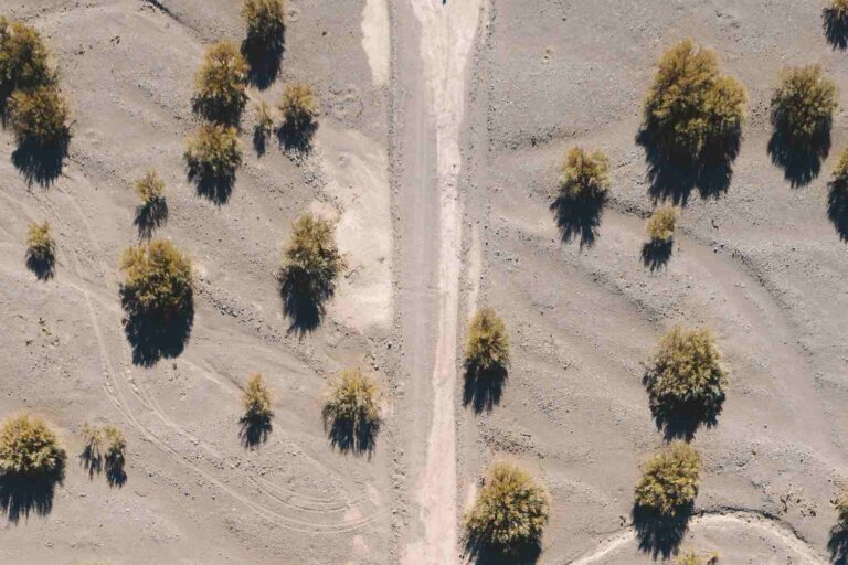 Saudi Green Initiative