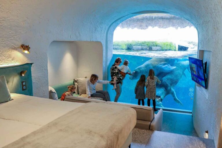 Slapen met dieren: de laatste huiveringwekkende toerist gevonden van deze Belgische dierentuin
