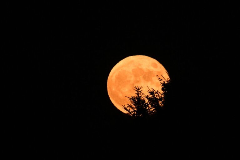 luna piena delle fragole
