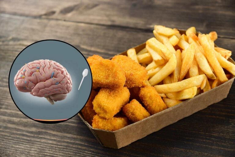 cibi processati microplastiche