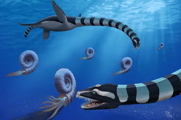 Traskasaura