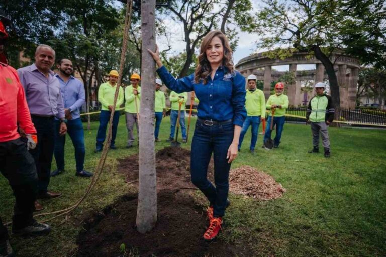 Guadalajara piantare alberi
