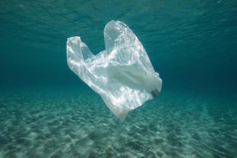 sacchetto plastica