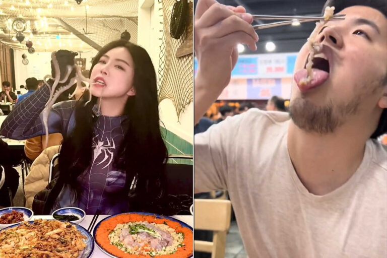 Mangiare polpi vivi