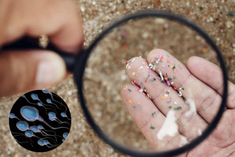 microplastiche fluidi umani